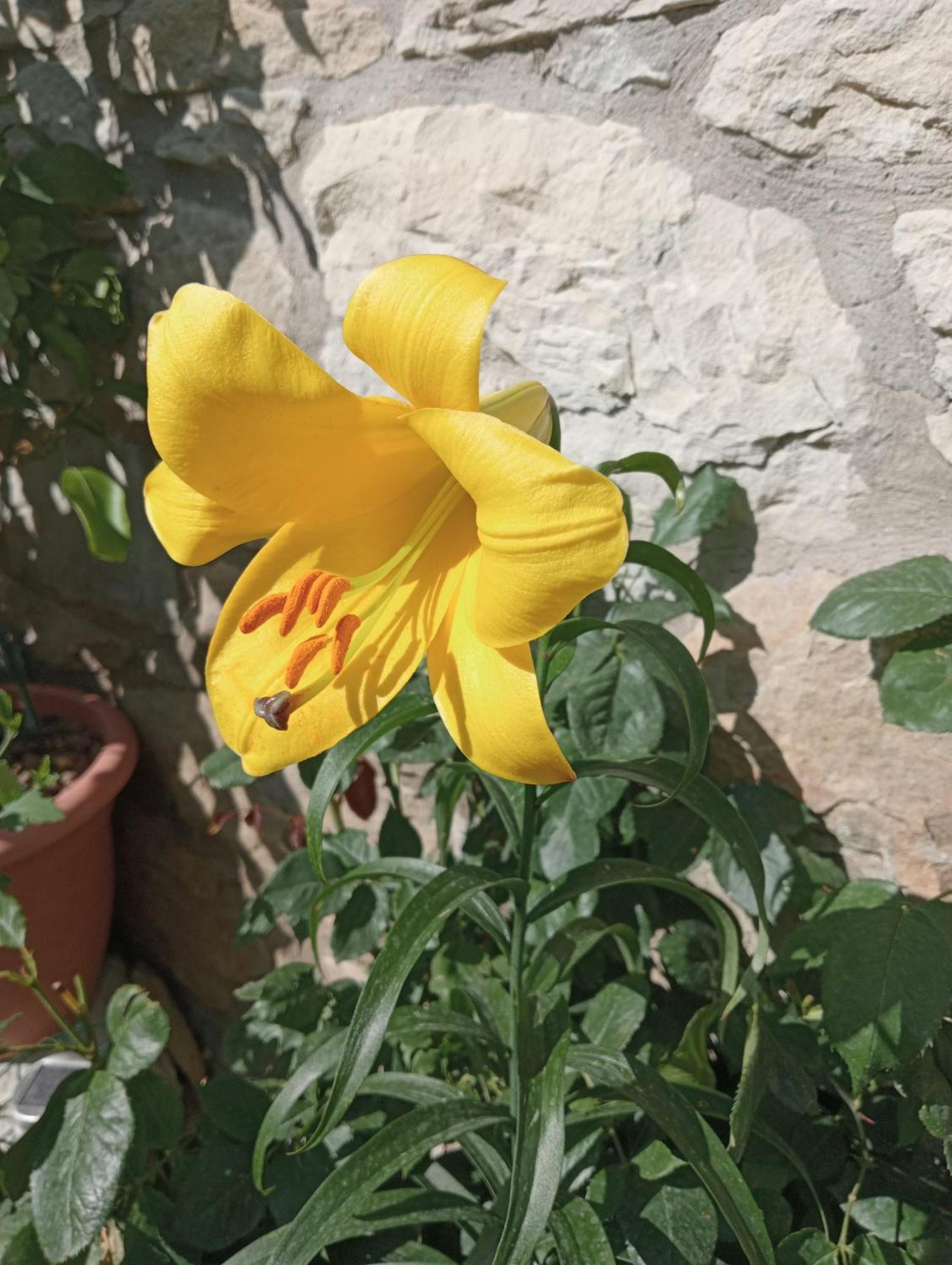 Bebbio Casale Monte Valestra Bed & Breakfast 部屋 写真