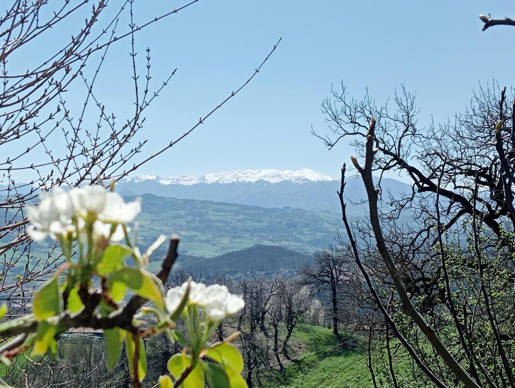 Bebbio Casale Monte Valestra Bed & Breakfast エクステリア 写真